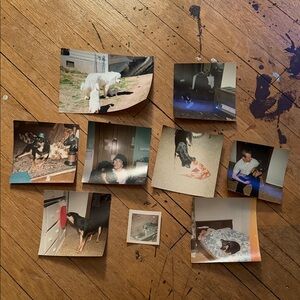 Vintage Dog and Family Photo Collection